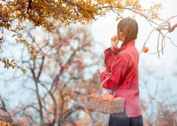 A Sweet Escape: Explore Global Desserts Without Leaving Home