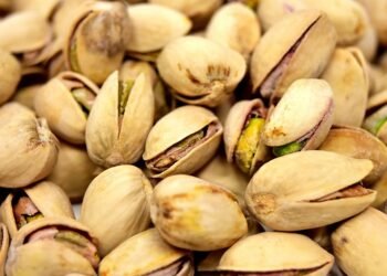 Snack Like a Pro: Simple Recipes for Healthier Munchies