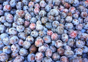 Sweet Indulgence: Top 10 Dessert Recipes That Will Satisfy Your Cravings