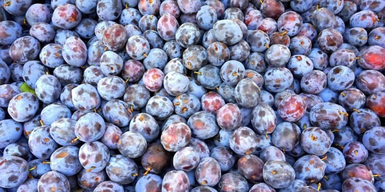 Sweet Indulgence: Top 10 Dessert Recipes That Will Satisfy Your Cravings