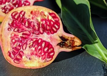 Fresh and Fast: 10 Easy Recipes for Nutritious Meal Prep