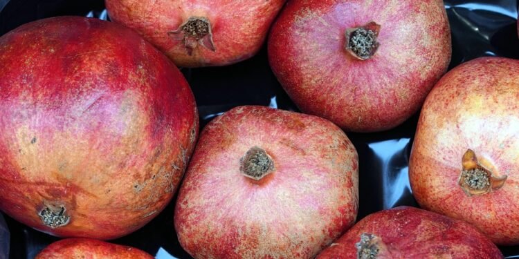 Healthy Fats: The Secret Ingredient for a Balanced Diet