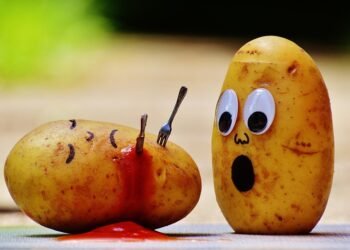 Potato Perfection: Simple Air Fryer Recipes That Will Change the Way You Cook!