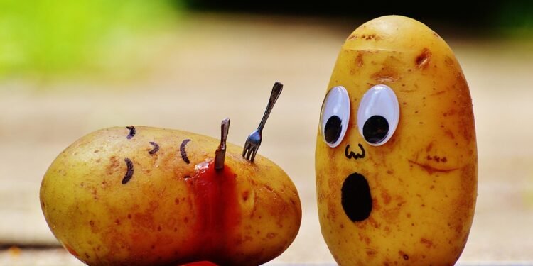 Potato Perfection: Simple Air Fryer Recipes That Will Change the Way You Cook!