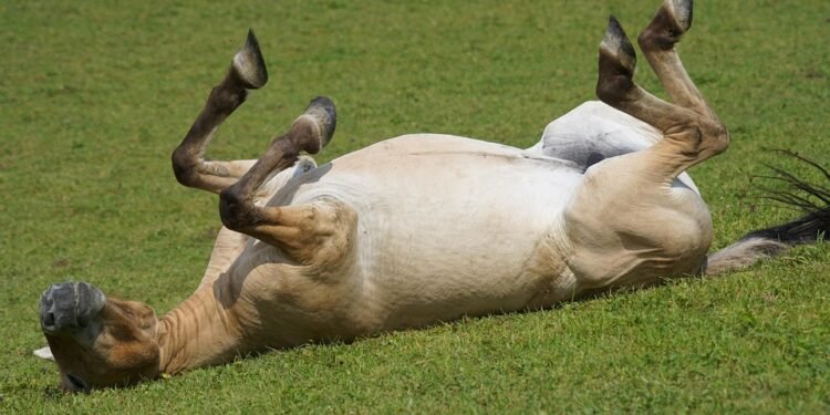 Feel free to mix and match or modify these to suit your needs!