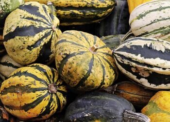 Healthy Meals Under 20 Minutes: Quick Recipes for a Busy Lifestyle