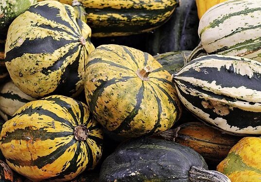 Healthy Meals Under 20 Minutes: Quick Recipes for a Busy Lifestyle