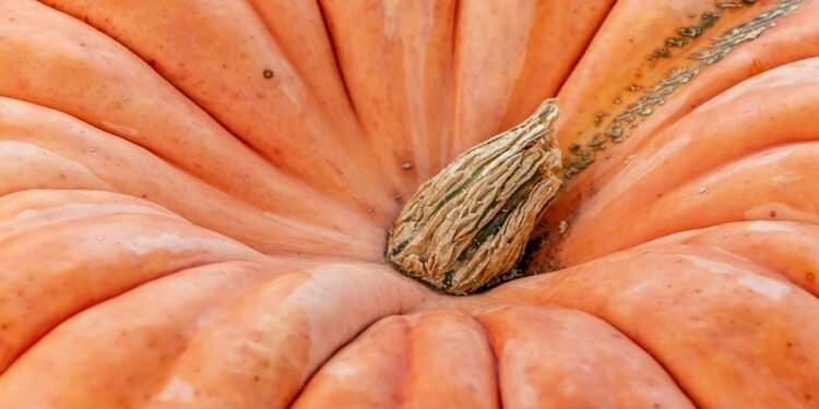 “Healthy Meets Delicious: Quick Recipes for Nutrient-Rich Eating”