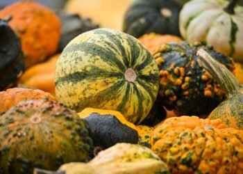 Seasonal Smoothies: Vegan Recipes to Celebrate Every Flavor of Nature