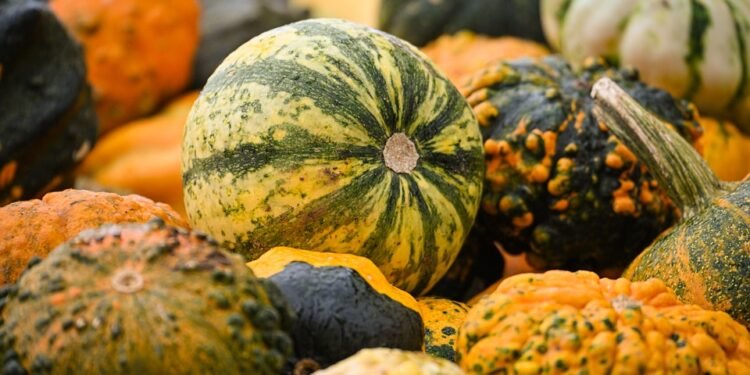 Seasonal Smoothies: Vegan Recipes to Celebrate Every Flavor of Nature