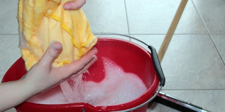 Clean & Green: Vibrant Plant-Based Recipes for Every Season