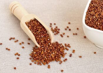 Superfood Smoothies: Boost Your Health with these Vegan Recipes