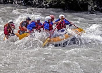 Quick Bites: Easy Lunch Ideas for a Hectic Schedule