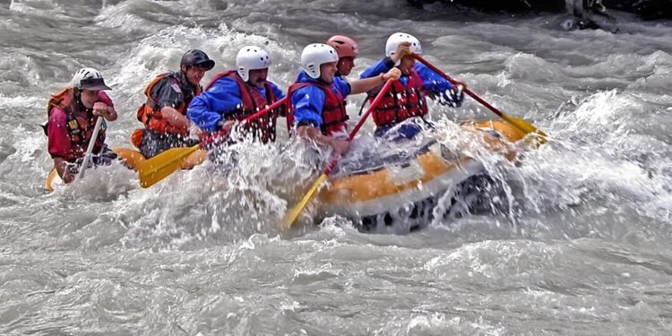 Quick Bites: Easy Lunch Ideas for a Hectic Schedule