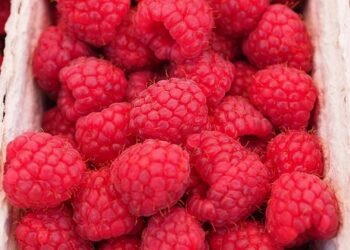 Fresh and Flavorful: Transform Your Plate with These Clean Eating Dishes