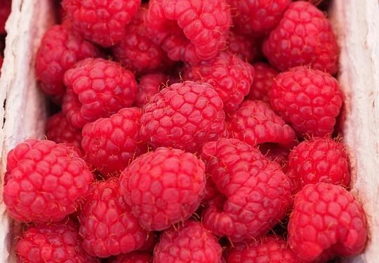 Fresh and Flavorful: Transform Your Plate with These Clean Eating Dishes