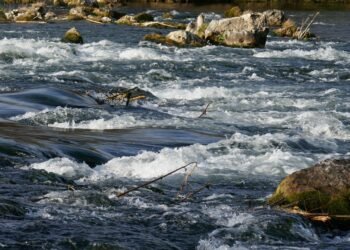 Rapid Recipes: Stress-Free Dinners for the Busy Beginner