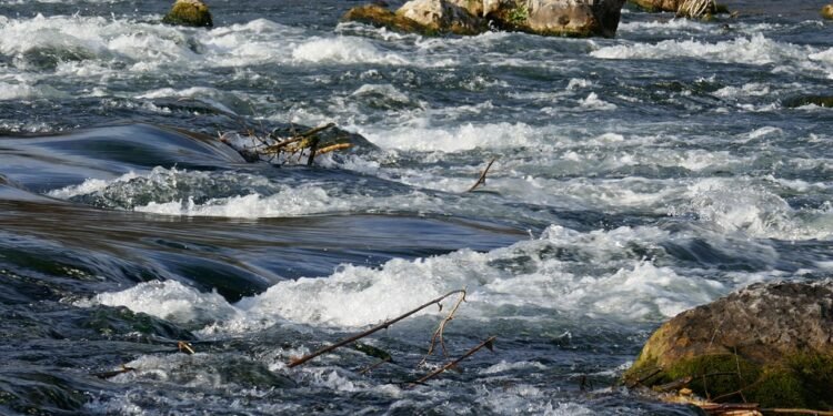 Rapid Recipes: Stress-Free Dinners for the Busy Beginner