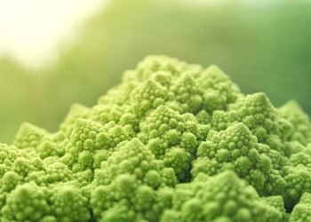 Vegan Smoothies 101: Refreshing Blends for Every Season