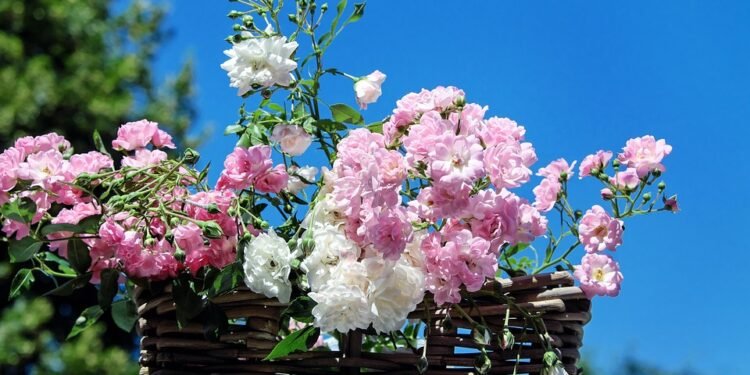 Family-Friendly Feasts: Easy Dinner Ideas Everyone Will Love!