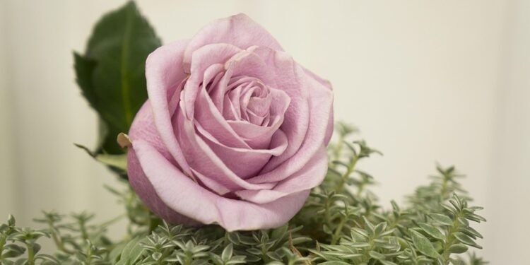 Feel free to mix and match or adapt these to better fit your audience!