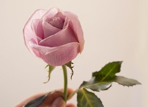 Feel free to mix and match or modify these suggestions to fit your needs!