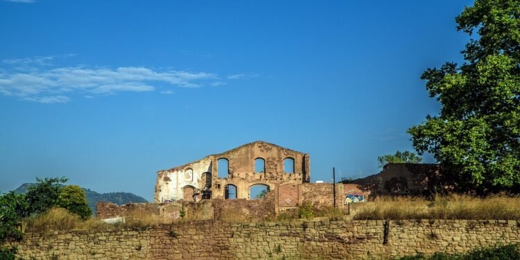 Decadence Meets Nutrition: Healthy Desserts for Every Occasion