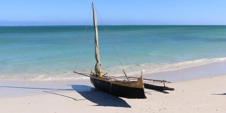 From Snacks to Sinners: Air Fryer Keto Delights You Can’t Resist