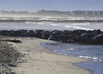 Weeknight Whirlwind: Fast Dinner Solutions for the Busy Family