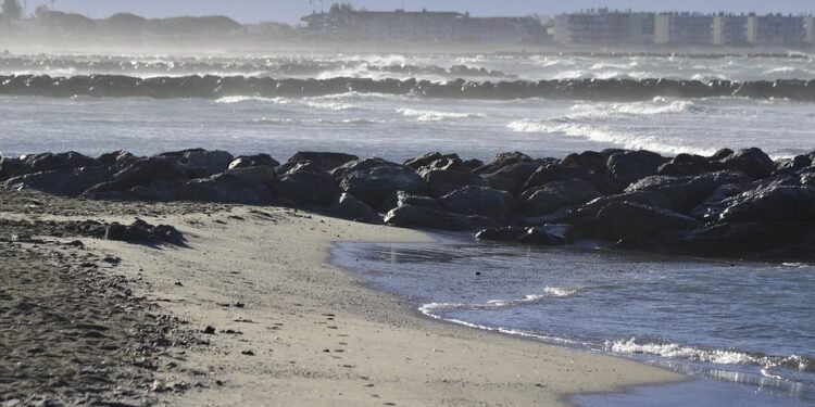 Weeknight Whirlwind: Fast Dinner Solutions for the Busy Family