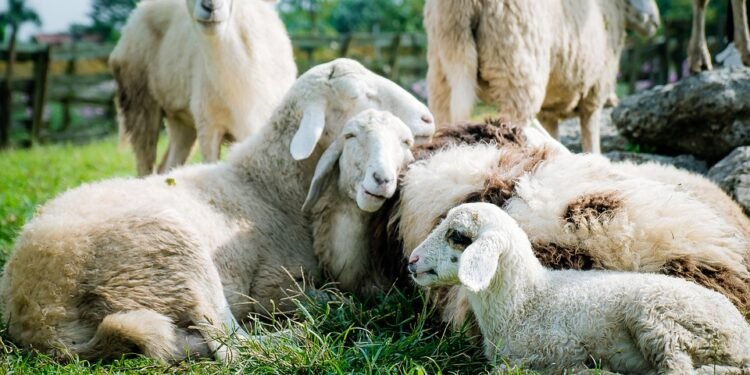 “From Farm to Fork: Fresh Ingredients for Nutritious Cooking”