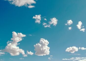 Air Fryer Essentials: Must-Have Tools and Techniques for Beginners