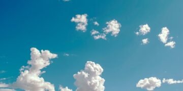 Air Fryer Essentials: Must-Have Tools and Techniques for Beginners