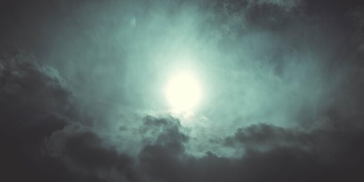 The Air Fryer Revolution: Transforming Fresh Vegetables into Tasty Treats!