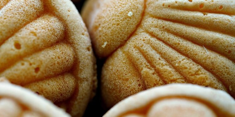 Crispy Goodness: Transform Your Dinner with Healthy Air Fryer Favorites