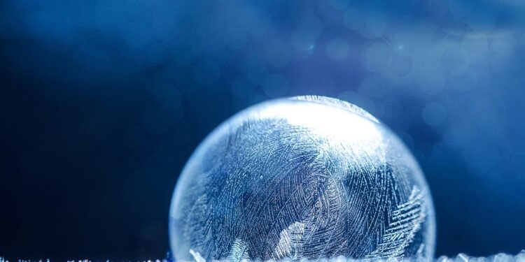 From Frozen to Fabulous: Air Fryer Meals in a Flash!