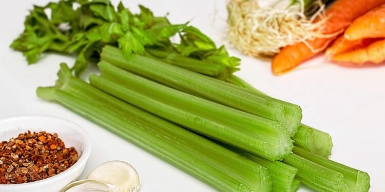 Lunch Made Easy: Delicious Air Fryer Meals in Under 30 Minutes