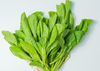 Healthy Indulgence: Guilt-Free Air Fryer Potato Recipes You’ll Love!