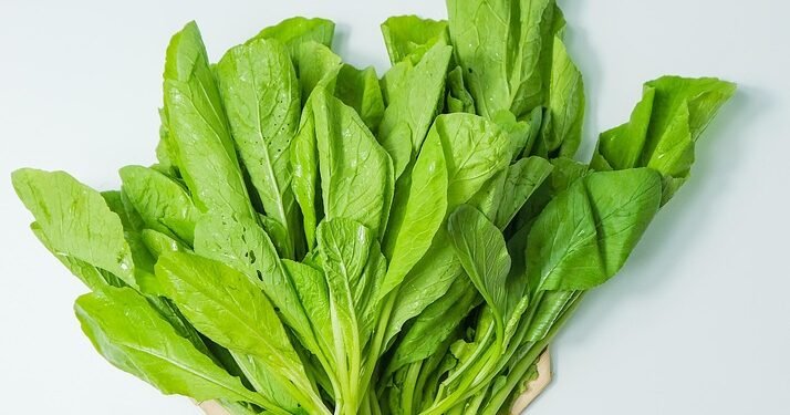 Healthy Indulgence: Guilt-Free Air Fryer Potato Recipes You’ll Love!