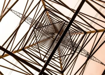 The Power of Greens: Why You Should Add More Salads to Your Diet