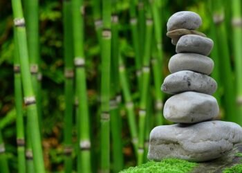 Balanced Bites: Lunch Recipes That Don’t Skimp on Flavor!