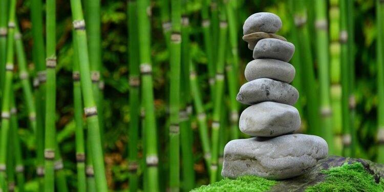 Balanced Bites: Lunch Recipes That Don’t Skimp on Flavor!