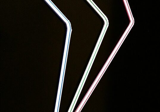 Sip Smart: Delicious Low-Calorie Smoothies to Refresh Your Day