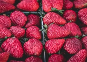 Wholesome & Delicious: Simple Family Meals Everyone Will Love!