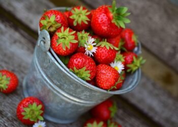 Eat Clean, Feel Great: Nourishing Recipes to Energize Your Day