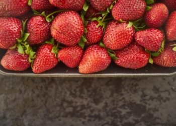 Wholesome Blends: 7 Smoothie Recipes That Keep You Full and Fit