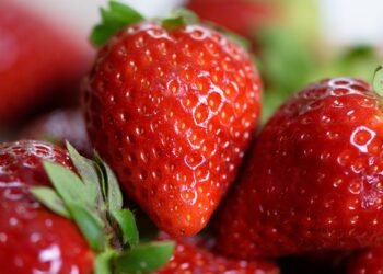 5 Nutritious Meals You Can Whip Up in Under 30 Minutes