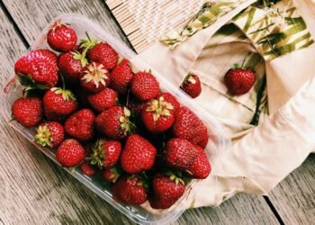 Healthy Snacking Made Easy: Air Fryer Recipes for Everyone