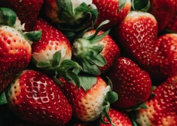 Wholesome and Hearty: 5 Paleo Dinner Ideas for the Whole Family