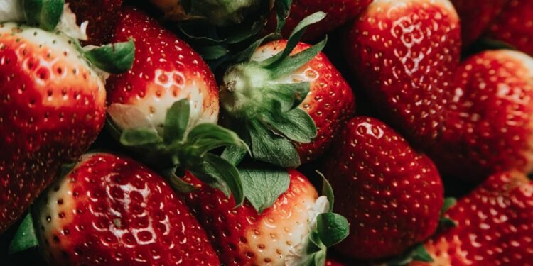 Wholesome and Hearty: 5 Paleo Dinner Ideas for the Whole Family